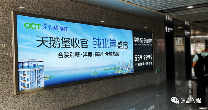 1661777338141426.jpg 8.jpg